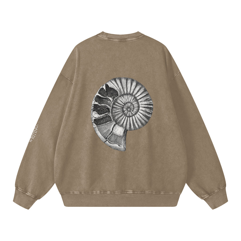 Snow Washed Oversized Sweatshirt