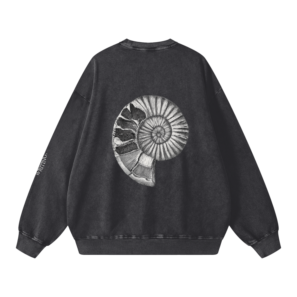 Snow Washed Oversized Sweatshirt